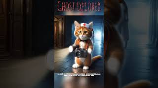 Ghost Explorer  Kucing ini hampir pingsan dipanggil Kuntilanak [upl. by Artur]