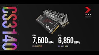 CS3140 M2 NVMe SSD by PNY [upl. by Lohrman]