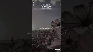 Surah Al Asra 2325Al QuranMaryam Iqbal  viral foryou islamicstatus ytshort [upl. by Welker]