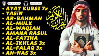 The Heart Touching Voice of Ayat Kursi 7xYasinAr RahmanWaqiahAl MulkKahfiIkhlas  Quran Pro [upl. by Dianne]