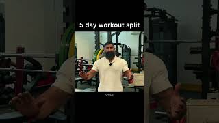 5 day workout split  PPLUL split workout gym muscle shorts [upl. by Airtemak]