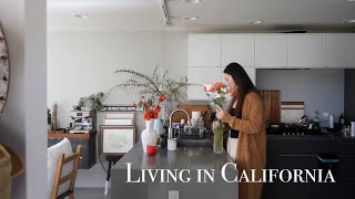 Living in California秋日居家decor生命力顽强的绿植们花盆unhaul带朋友玩儿旧金山做小小导游的一天fall home decora day in SF city [upl. by Rybma]