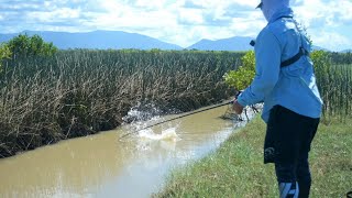 BARRA SURFACE BOOFS Townsville fishing SECRET location 2023 [upl. by Enail]