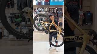 Cervelo Soloist Gold Dust x Shimano DuraAce C50 Wheelset [upl. by Lessard]