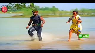 Kattukkulla Kadhal HD Video Song Movie Karimedu Karuvayan1986 [upl. by Shandee707]