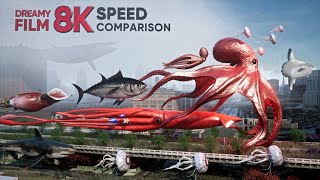 8K FISH Surreal SPEED Comparison [upl. by Adnorahc495]