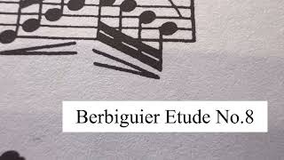 Berbiguier Etude No8 [upl. by Esilegna]