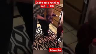 Hathi ne cap leli funny comedy comedyvideo viralshort viralcomedy viralvideo viralvideos [upl. by Anaujd]