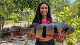 PESCANDO TUCUNARÉ DE LINHA DE MÃO tucunaré pesca amazonas [upl. by Thorndike162]