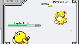 Psyduck vs Psyduck Pokemon Showdown [upl. by Oneida]