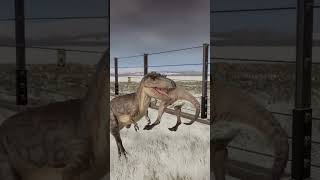 Albertosaurus Kills Gallimimus 🦖 dinosaur albertosaurus gallimimus jwe2 dino [upl. by Mobley801]