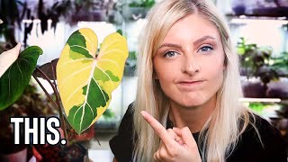 8 REALLY ANNOYING Variegated Rare Houseplants [upl. by Hnahc17]