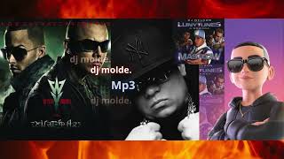 Mix  Reggaeton  Wisin Y Yandel  Daddy Yankee  Hector El Father djmolde [upl. by Yantruoc]