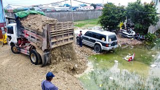 Continue work​ with Full skill Dozer D31A amp 5T truck pushing into water on flooded land [upl. by Nnagrom285]