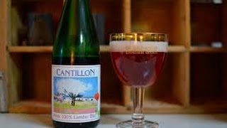 Brasserie Cantillon Kriek 100 Lambic Bio  Belgian Craft Beer Review [upl. by Ettennil]