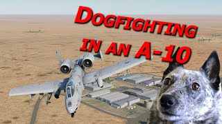 A10 Dogfight with FOUR Su27 Flankers  Real Pilot Plays Digital Combat Simulator World [upl. by Quinn]