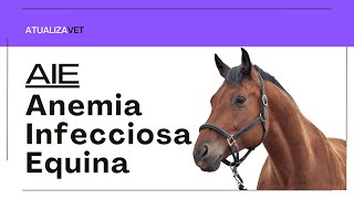 Anemia Infecciosa Equina AIE  AtualizaVet [upl. by Abbott49]