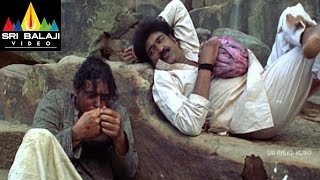 Vikramarkudu Movie Climax Fight Scene  Ravi Teja Anushka Ajay  Sri Balaji Video [upl. by Vogele398]