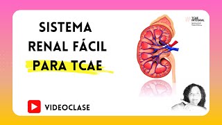 ✅ SISTEMA RENAL FÁCIL PARA TCAE 🏥 Auxiliar de Enfermería  Oposiciones y Pruebas Libres FP  PARTE 1 [upl. by Ligriv]