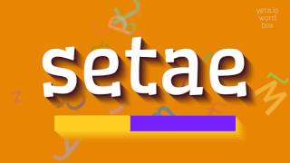 HOW TO SAY SETAE setae [upl. by Koss]