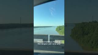 Unbelievable Facts about the Atchafalaya Basin Bridge [upl. by Troxell]