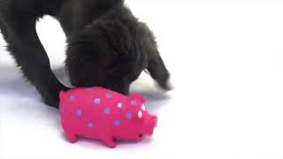 Multipet Globlets™ Pig Toy [upl. by Emoreg]