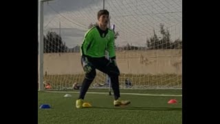 Allenamento portiere  Psicocinetica e Tecnica applicata [upl. by Delanty715]