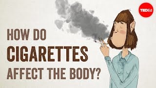 How do cigarettes affect the body  Krishna Sudhir [upl. by Reiko]