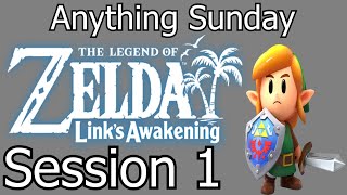 Zelda Links Awakening  Session 1 [upl. by Eninahs]