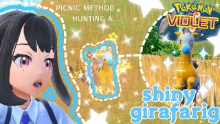 ♡ FINDING SHINY GIRAFARIG WITH THE PICNIC RESET METHOD Pokemon Violet ♡ [upl. by Enaitsirhc]