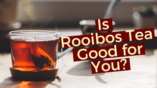 Pure Rooibos Red Tea Benefits  Is Rooibos Tea Good for You [upl. by Olenka]