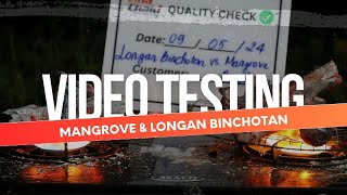 Binchotan  BBQ Premium Charcoal With Advanced Technology  Vinachaki [upl. by Hildie]