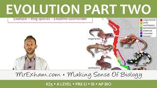 Evolution  Stress extinction and speciation  Post 16 Biology A Level PreU IB AP Bio [upl. by Anitahs]