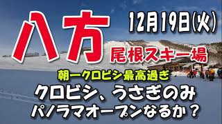 12月19日八方尾根スキー場、朝一クロビシ最高！ [upl. by Eimar]