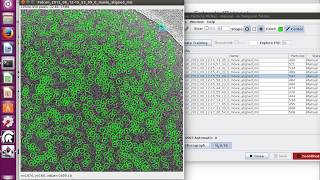 Scipion tutorial Beta galactosidase Part2 Particle picking [upl. by Rennold]