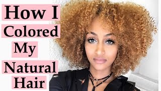 HOW I COLORED MY NATURAL CURLY HAIR GOLDEN HONEY BLONDE  PRODUCTS USED  TIPS [upl. by Aronas]