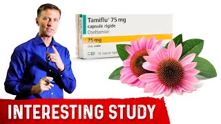 Echinacea is as Effective as Tamiflu for the Flu [upl. by Arocal]