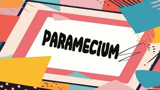 Class9biologychapter no 1diagram parameciumstructurelabelling [upl. by Ettesoj]