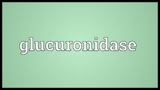 Glucuronidase Meaning [upl. by Ovida]