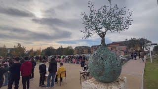 Un albero per ogni nuovo nato [upl. by Landbert]