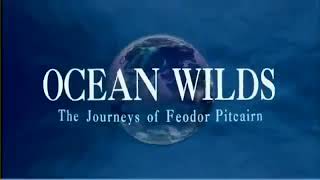 BBC wildlife documentary  Killer Whales  National geographic documentary [upl. by Eedyah]