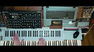 Novation Peak Live Looping  Laser Light [upl. by Assilym816]