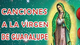 La Virgen De Guadalupe  Cántos a la virgen de Guadalup  Mañanitas Guadalupanas [upl. by Arot888]