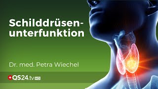 Schilddrüsenunterfunktion – Fragen um den wichtigsten Taktangeber  Dr med Petra Wiechel  QS24 [upl. by Cherian]