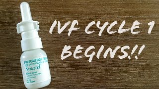 TTC 2  IVF Cycle 1  Off to a slow start [upl. by Veradia]