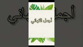 تهنئة بمناسبة السنة الهجرية الجديدة 1446 [upl. by Searle487]