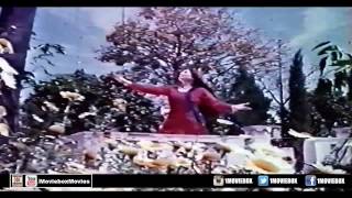 TERE KADMA WICHON UTH KE NAI JANA  PAKISTANI FILM SHERA [upl. by Yrrep]