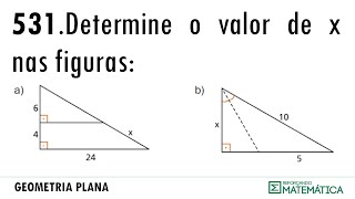 C14 TRIÂNGULOS RETÂNGULOS 531 [upl. by Quintina]