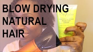 Blow Drying Natural Hair  SheaMoisture Tahitian Noni amp Monoi Blow Out Cream [upl. by Neerac]