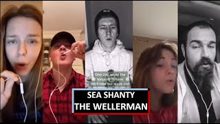 The Wellerman  TikTok Sea Shanty mashup 2021 [upl. by Torbart]